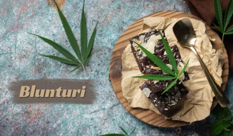 Exploring Blunturi: An In-Depth Look into the Revolutionary Concept